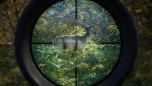 theHunter Call of the Wild 2019 PC Free Download