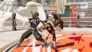 DEAD OR ALIVE 6 PC UPDATE 1.06