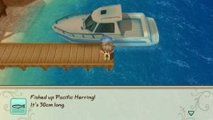 STORY OF SEASONS Friends of Mineral Town PC Crack