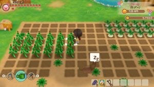 STORY OF SEASONS Friends of Mineral Town PC Game