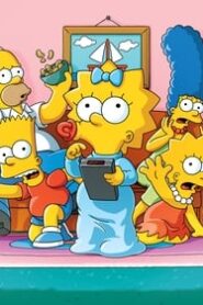 Los Simpson Temporada 1 al 26 DSNP Latino Inglés MKV